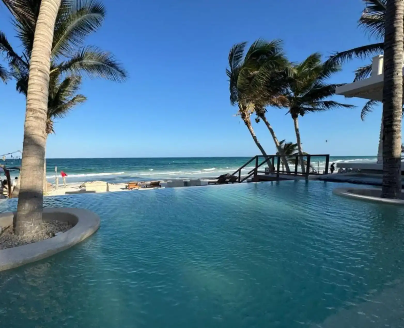 Alberca infinita frente al Caribe, con palmeras inclinadas sobre el agua