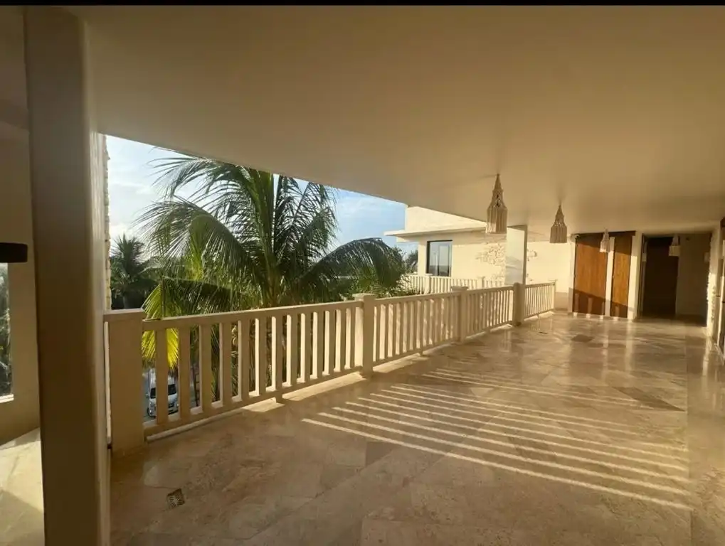 Terraza corrida con barandal blanco y las palmeras del jardín.