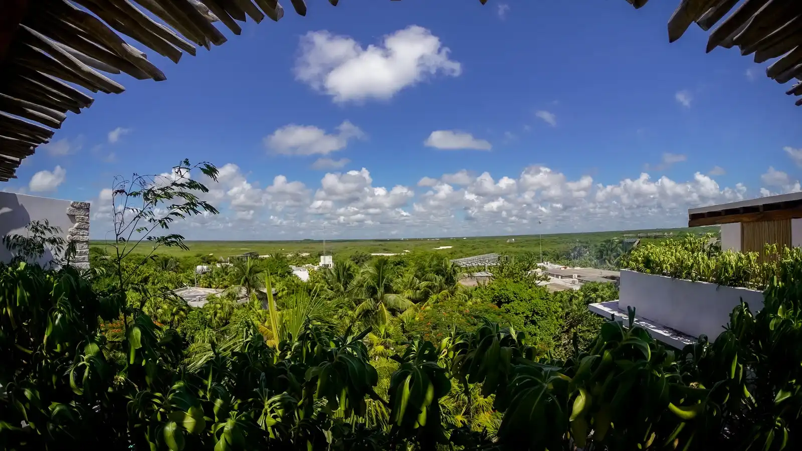 La selva de Tulum vista desde lo alto, bajo el alero de palma de una terraza.