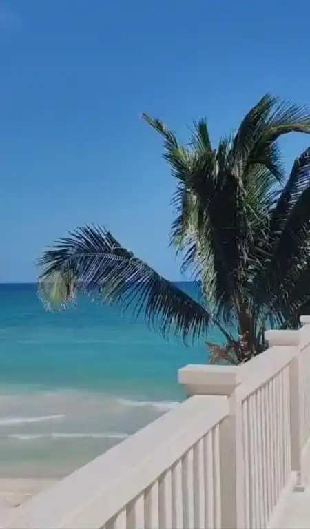 Una palmera y el mar, desde un balcón de barandal blanco.