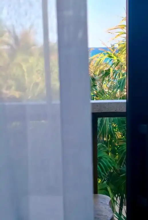 Cortinas entreabiertas hacia el balcón y las palmeras.