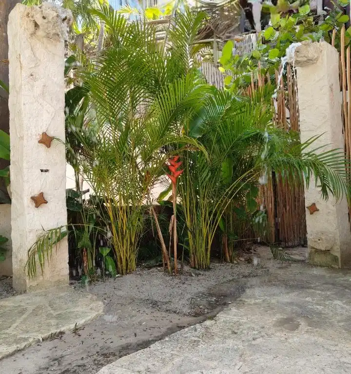 Bungalow Agua, fotografía 12