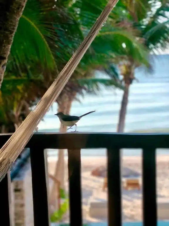 Un pájaro posado en el barandal del balcón, con el mar detrás.