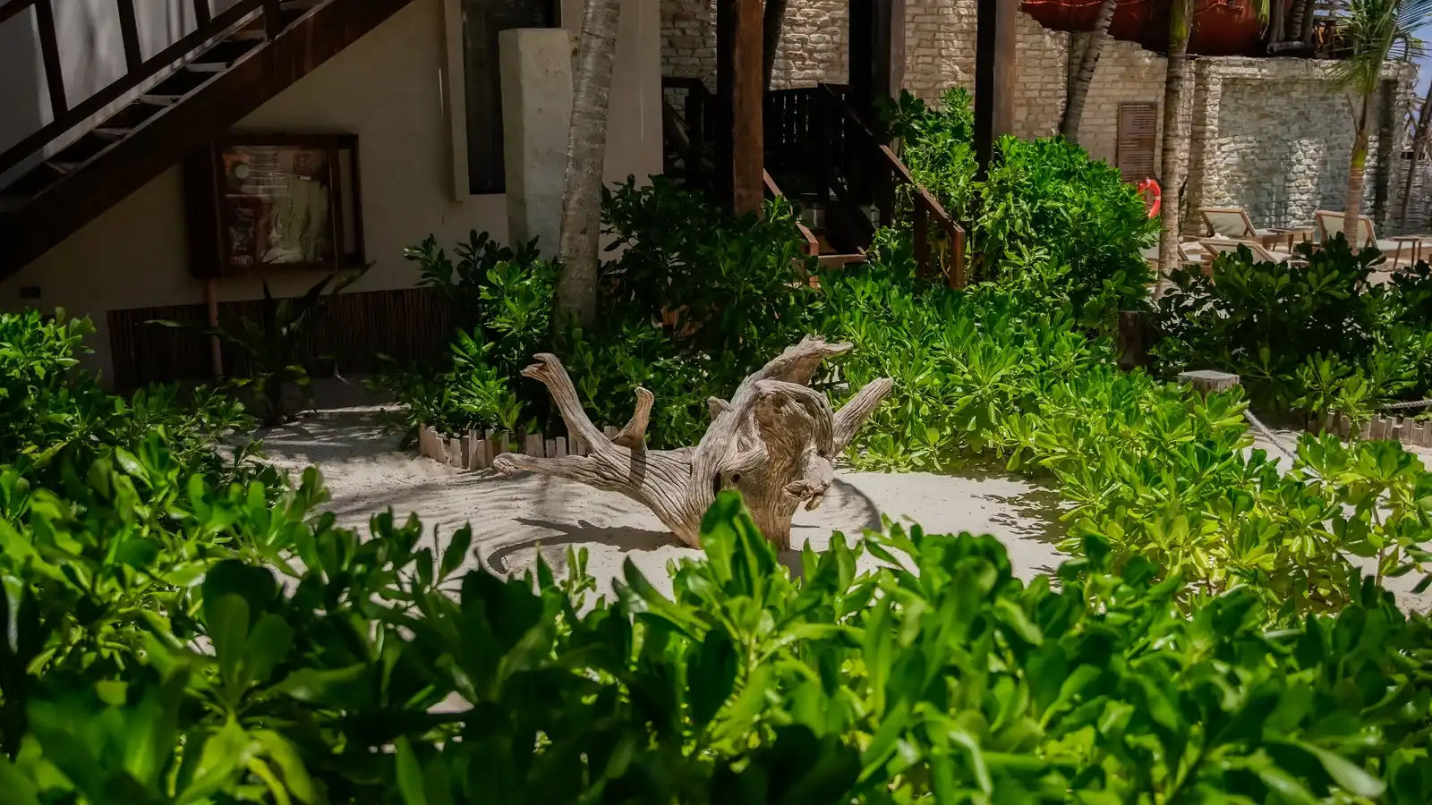 Jardín con un tronco a la deriva sobre la arena y una escalera al fondo.