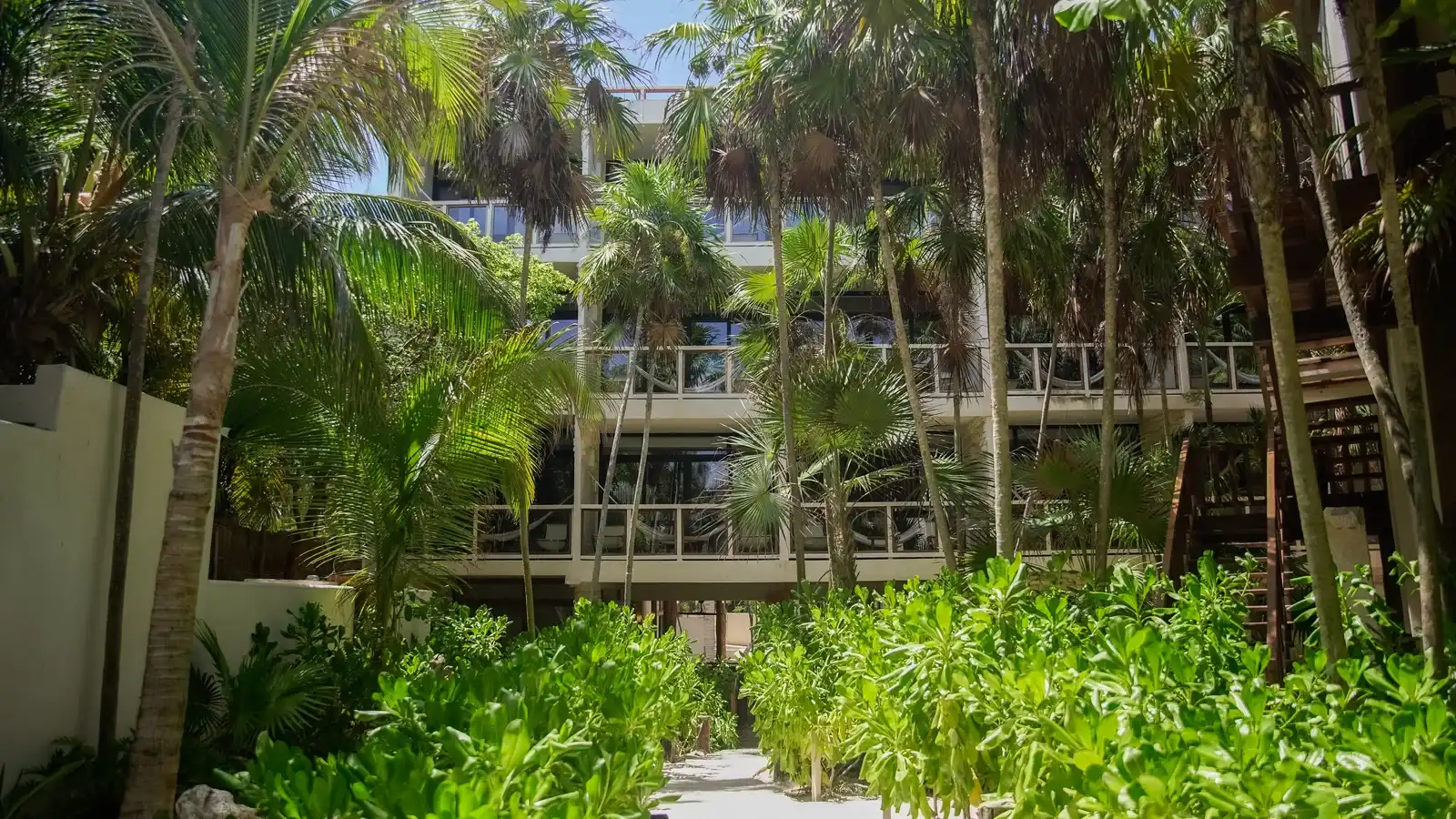 La fachada de las habitaciones con sus balcones, entre las palmeras.