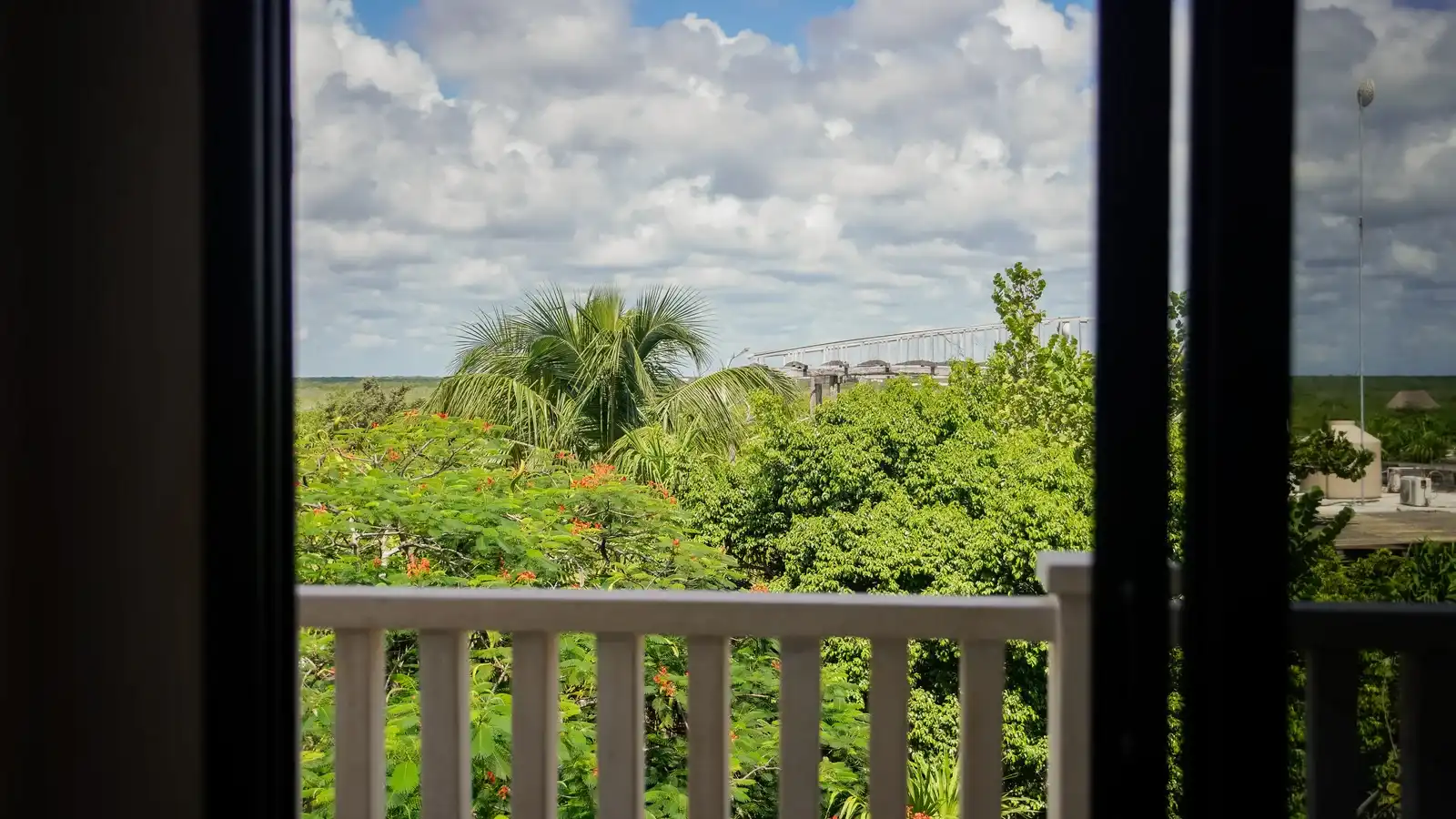 Habitación Deluxe King · Vistas a la selva, fotografía 12