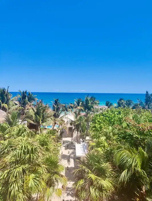 Vista desde lo alto: las palmas del jardín del hotel y, detrás, la franja azul del Caribe.
