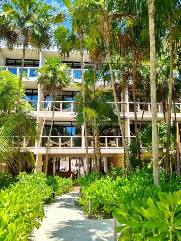 Los edificios del hotel entre las palmeras, desde el jardín.