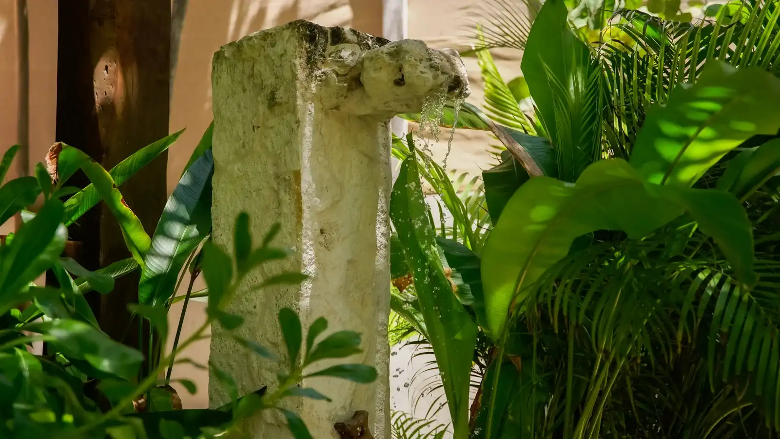 Columna de piedra entre plantas tropicales.