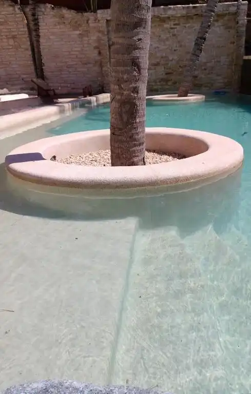 Una palmera plantada dentro de la alberca, en su propio brocal.