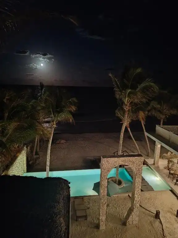 La alberca de noche, con las palmeras iluminadas alrededor.
