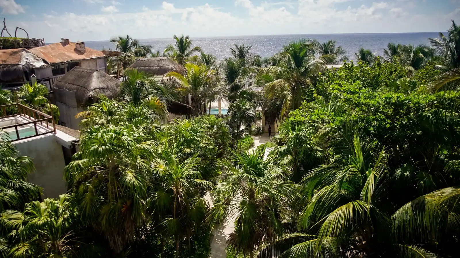 Vista elevada sobre las palmeras del hotel hacia el mar Caribe